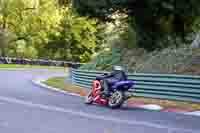cadwell-no-limits-trackday;cadwell-park;cadwell-park-photographs;cadwell-trackday-photographs;enduro-digital-images;event-digital-images;eventdigitalimages;no-limits-trackdays;peter-wileman-photography;racing-digital-images;trackday-digital-images;trackday-photos